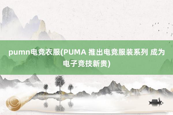 pumn电竞衣服(PUMA 推出电竞服装系列 成为电子竞技新贵)