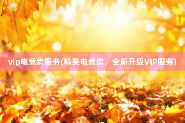 vip电竞房服务(精英电竞房，全新升级VIP服务)