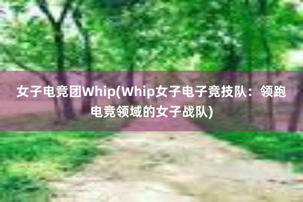 女子电竞团Whip(Whip女子电子竞技队：领跑电竞领域的女子战队)