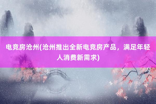 电竞房沧州(沧州推出全新电竞房产品，满足年轻人消费新需求)