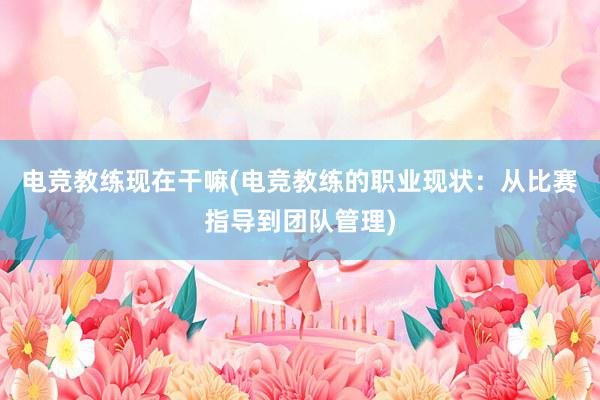 电竞教练现在干嘛(电竞教练的职业现状：从比赛指导到团队管理)