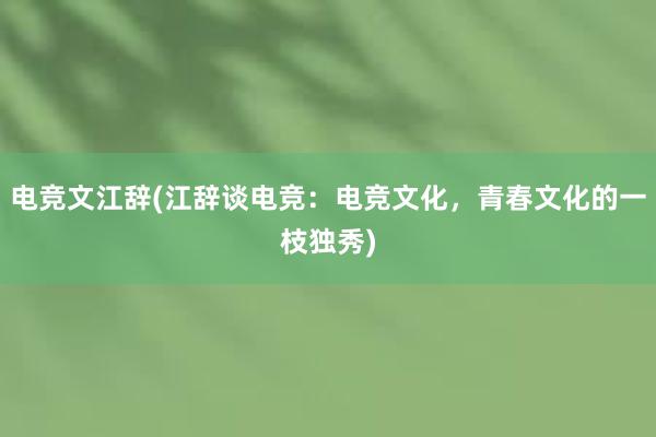 电竞文江辞(江辞谈电竞：电竞文化，青春文化的一枝独秀)