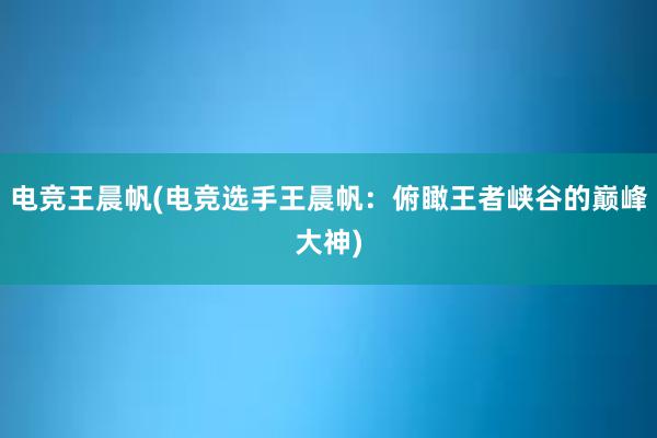 电竞王晨帆(电竞选手王晨帆：俯瞰王者峡谷的巅峰大神)