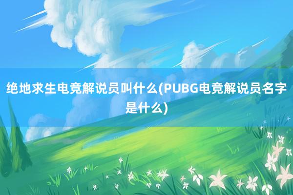 绝地求生电竞解说员叫什么(PUBG电竞解说员名字是什么)