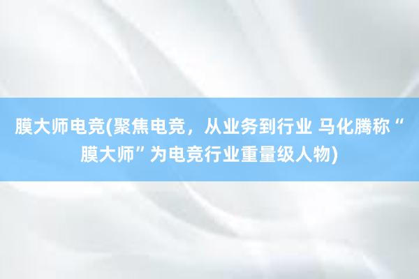 膜大师电竞(聚焦电竞，从业务到行业 马化腾称“膜大师”为电竞行业重量级人物)