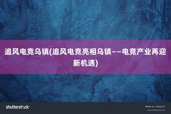 追风电竞乌镇(追风电竞亮相乌镇——电竞产业再迎新机遇)