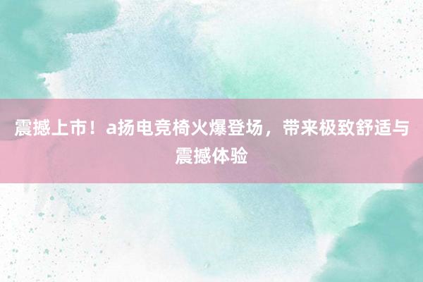 震撼上市！a扬电竞椅火爆登场，带来极致舒适与震撼体验