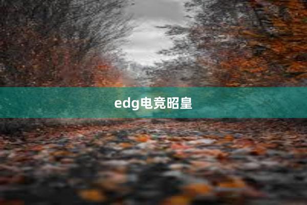 edg电竞昭皇