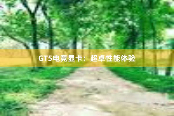 GT5电竞显卡：超卓性能体验