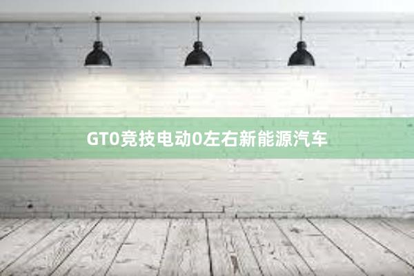 GT0竞技电动0左右新能源汽车