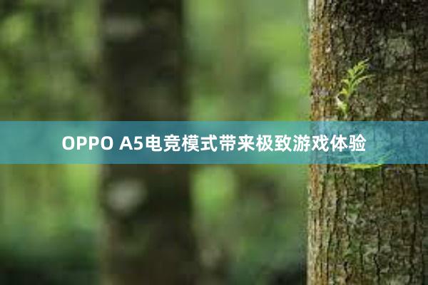 OPPO A5电竞模式带来极致游戏体验