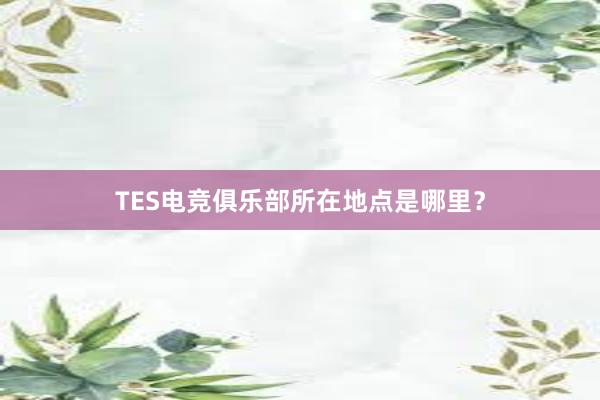 TES电竞俱乐部所在地点是哪里？