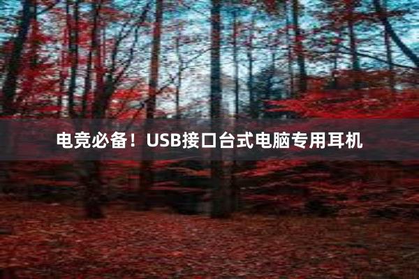 电竞必备！USB接口台式电脑专用耳机