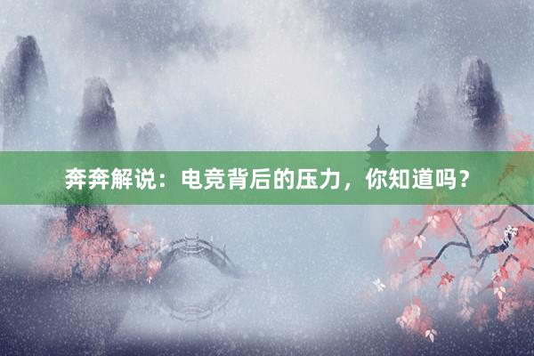 奔奔解说：电竞背后的压力，你知道吗？