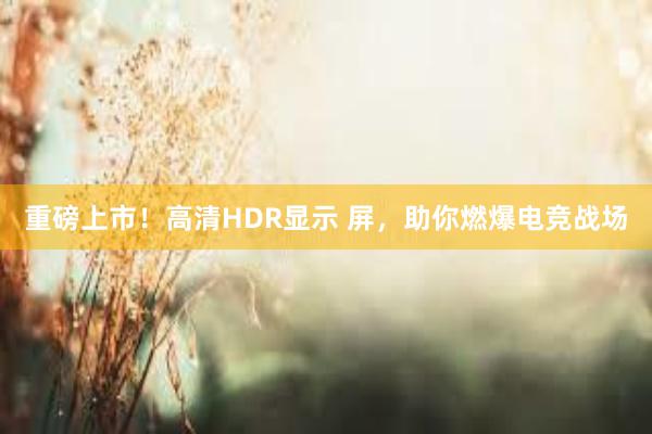 重磅上市！高清HDR显示 屏，助你燃爆电竞战场