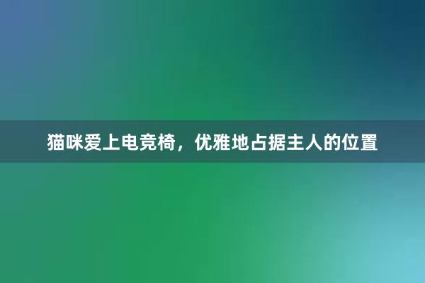 猫咪爱上电竞椅，优雅地占据主人的位置