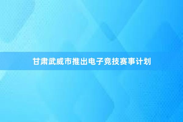 甘肃武威市推出电子竞技赛事计划