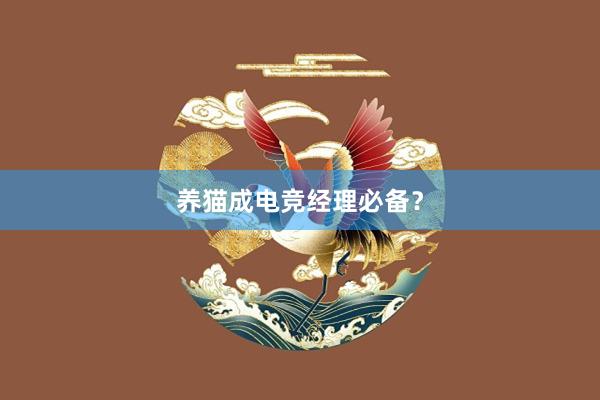 养猫成电竞经理必备？