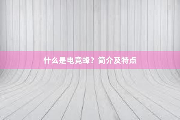 什么是电竞蜂？简介及特点