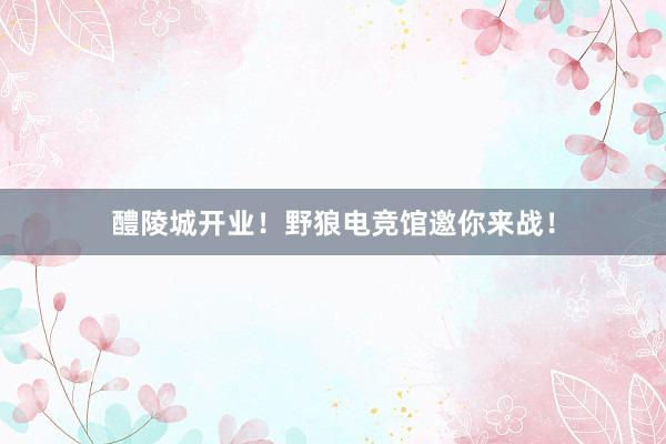 醴陵城开业！野狼电竞馆邀你来战！