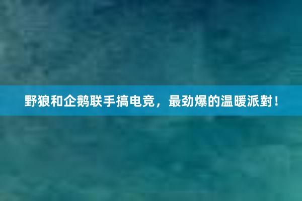 野狼和企鹅联手搞电竞，最劲爆的温暖派對！