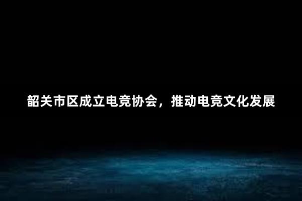 韶关市区成立电竞协会，推动电竞文化发展