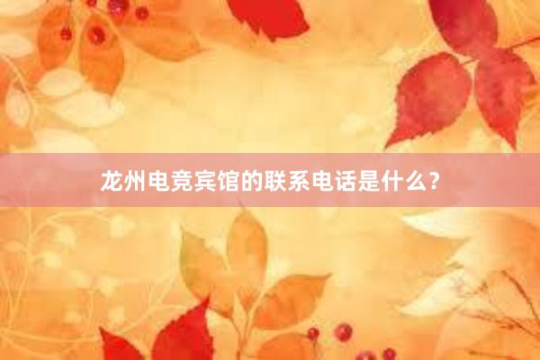 龙州电竞宾馆的联系电话是什么？